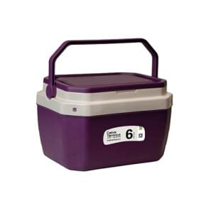 Caixa Térmica Cooler com Alça Paramount para Transporte de Bebidas, Churrasco, Gelo e Alimentos, Ideal para Praia, Camping, Pesca
