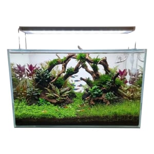 Aquário 39x20x19 De 15 Litros