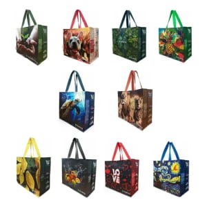 Kit 10 Sacolas Retornaveis Ecobag De Rafia - 35x40x18
