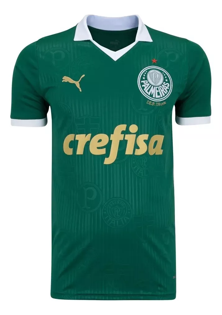 Camisa Puma Palmeiras Verde 24/25 Torcedor