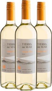 Kit 3 Tierra del Mar Sauvignon Blanc por R$31,92 cada garrafa com cupom