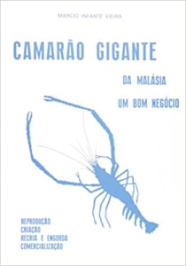 Camarão Gigante Da Malásia. Um Bom Negocio