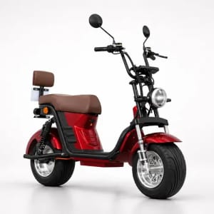 Scooter Bicicleta Elétrica X13 1000w 60v 20a Não Precisa Cnh