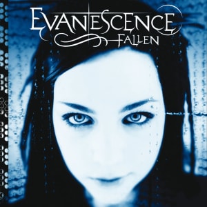 Disco de Vinil Álbum Fallen - Evanescence
