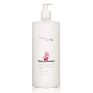 Leve 2 Shampoos de 1 litro + 2 Condicionadores de 1 litro Natura Plant