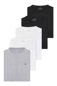 Kit 5 Camisetas Masculinas 100% Algodão Polo Wear Sortido