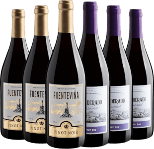 Kit Pinots Noirs | 3 Fuenteviña + 3 Ponderado por R$27,90 cada garrafa 