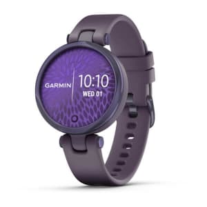 Monitor de Atividades Garmin Lily