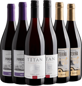 Kit Pinot Noir | 6 garrafas por R$29,90 cada