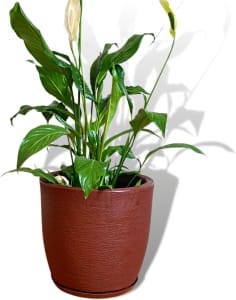 Vaso Planta Polietileno Escovado Luxo Bojo Redondo N3 (Disponível Em 4 Cores)