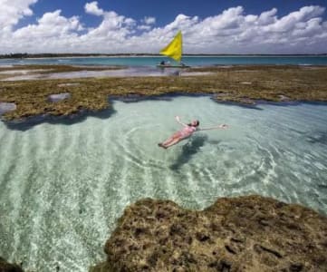 Pacote de Viagem para Maceió + Maragogi + Porto de Galinhas - 1º Semestre 2023 - Aéreo + Hospedagem com Café da manhã