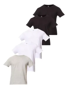 Kit com 5 Camisetas Básicas Hering - Masculina