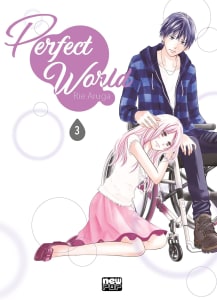 Mangá Perfect World: Volume 3 - Rie Aruga