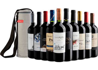 Kit 10 Vinhos por R$27,90 cada garrafa + Bolsa Térmica Grátis