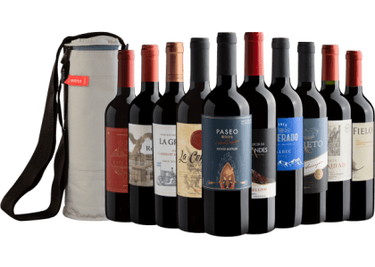 Kit 10 Vinhos do Novo Mundo + Bolsa Térmica Grátis