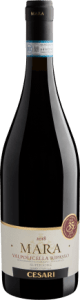 Cesari Mara Valpolicella Ripasso Superiore DOC 2018 — 