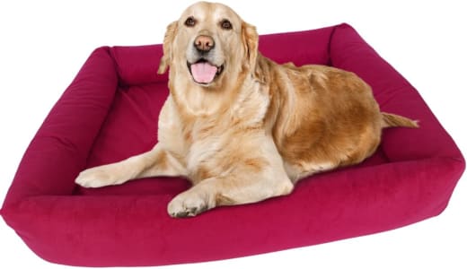 Cama Para Cachorro Grande 100x87cm 100% Lavável e Resistente - Pet Querido (Disponível Em Diversas Cores)
