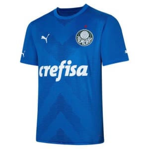 Camisa Puma Palmeiras I 23/24 s/n Goleiro Jogador - Masculina