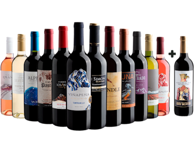 Kit 12 Vinhos por R$26,90 cada garrafa + 1 Alicia en el Pais de Las Uvas Tempranillo Syrah Grátis