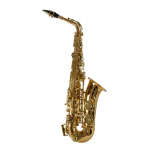 Saxofone Alto Shelter SGFT6430L Laqueado Dourado Afinação Mi Bemol