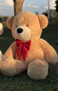 Urso Gigante Pelúcia Grande Teddy 1,10 Metros - Doce de Leite com Laço Vermelho