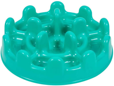  Comedouro Lento Funcional Mini Pet Fit Verde Agua Pet Games para Cães 