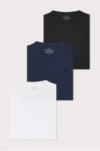 Kit 3 Camisetas Masculinas 100% Algodão Polo Wear Sortido