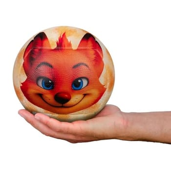 Mini Bola de Futebol Campo Fun Kids T50 XXIV Raposinha
