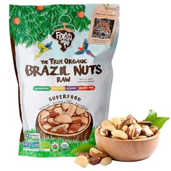 Castanha-do-Pará 500g Orgânica Inteira – Fonte de Proteína Vegetal e Selênio – Vegana, Kosher, Sem Glúten, Sem Conservantes – Floresta em Pé