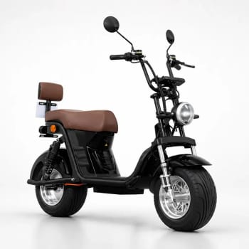 Bicicleta Elétrica X13 1000w Moto Scooter Sem Cnh 32km/h