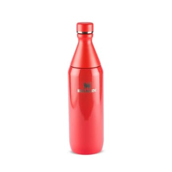 Stanley - Garrafa térmica Slim Bottle para água e bebidas frias, colarinho removível para adicionar Gelo, à Prova de vazamentos, aço inoxidável, 591