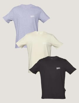 Kit 3 Camisetas Masculina Logo Grafitti Oakley.