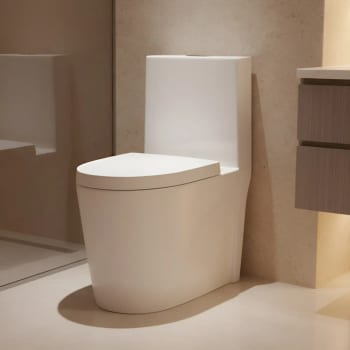 Vaso Sanitário Monobloco Privada Bacia Caixa Acoplada Grande