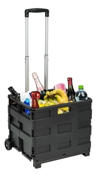 Carrinho Especial De Compra Feira Dobravel Vira Maleta 25kg Cor Preto