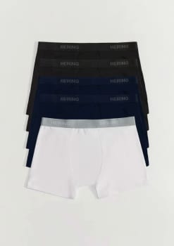 Kit 5 Cuecas Boxer Com Elástico Personalizado Hering