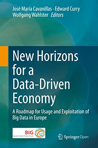 New Horizons for a Data-Driven Economy: A Roadmap for Usage and Exploitation of Big Data in Europe (English Edition)