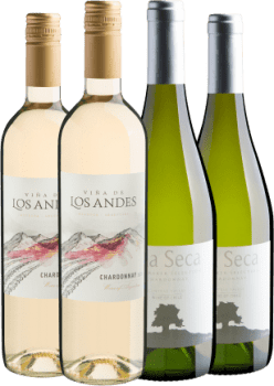 Kit 4 Chardonnays por R$29,90 cada garrafa