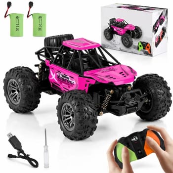 Carrinho Controle Remoto Recarregável Grande Off Road Cross Roxo