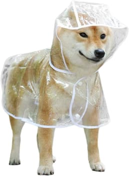 Wination Capa de Chuva Para Cachorros Pequenos Corpo inteiro Transparente À Prova D'água, Tamanhos P, M e G