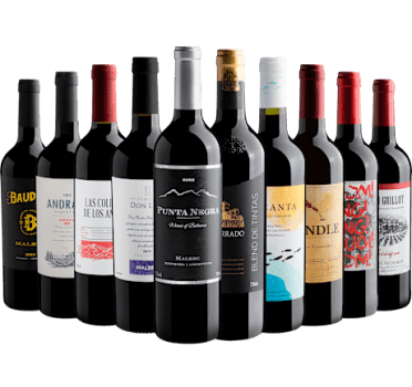 Kit 10 Vinhos por R$25,90 cada garrafa com Punta Negra