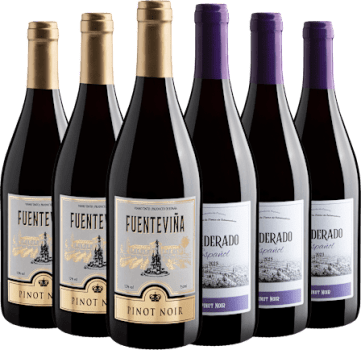 Kit Pinots Noirs | 3 Fuenteviña + 3 Ponderado por R$27,90 cada garrafa 