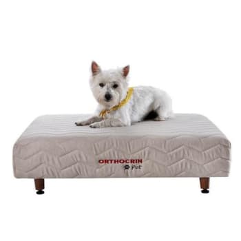 Cama Box Pet de Espuma para Cachorro Orthocrin - 60x80x16