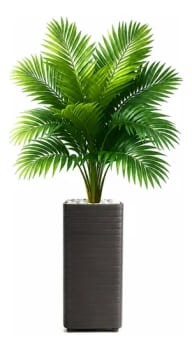 Planta Artificial Palmeira 1 Metro Grande Em Vaso Decoração - R$ 84,9
