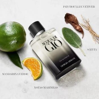 Perfume Masculino Giorgio Armani Acqua di Giò Eau de Parfum Refilável 100ml