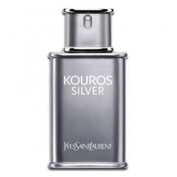 Kouros Silver Yves Saint Laurent - Perfume Masculino - Eau de Toilette 100ml - Magazine Ofertaesperta
