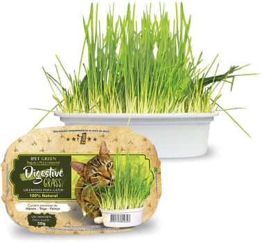 Ipet Green Digestive Grass Graminha Para Gatos 50G IPET para Todos os tamanhos de raça Todas as fases - Sabor Outro