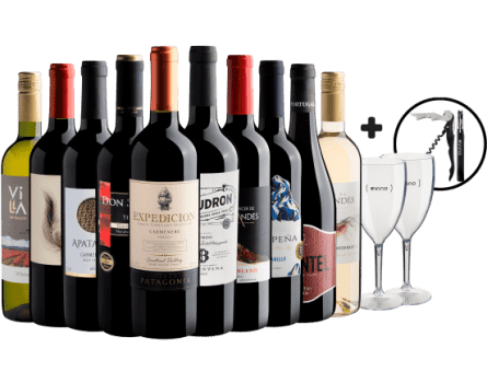 Kit Desejo Para 2024 #1: 10 Vinhos por R$29,90 cada + Saca-rolhas + 2 Taças + Frete Grátis*