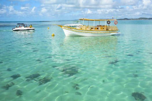 Pacote de Viagem - Maceió - 2024