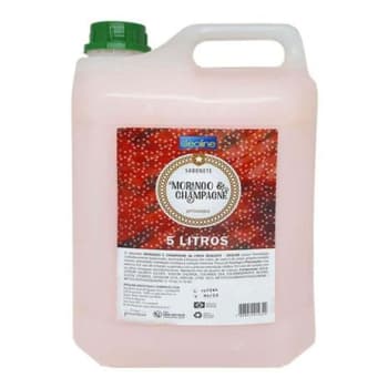 Sabonete Liquido Morango e Champagne 5L - Premisse - Magazine Ofertaesperta