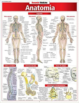 Livro Anatomia